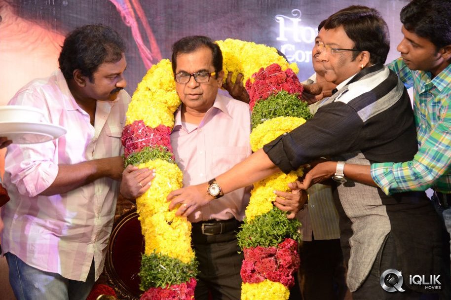 Geethanjali-Movie-First-Look-Launch